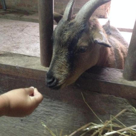 Can Pei Oix المظهر الخارجي الصورة
