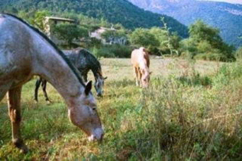 Can Pei Oix المظهر الخارجي الصورة
